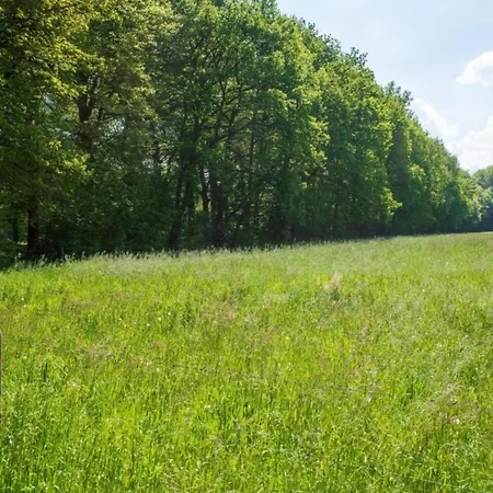 Plain House Is Very Suitable For Groups Ferrières